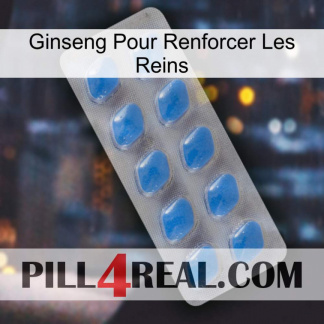 Ginseng For Reinforcing Kidney 22